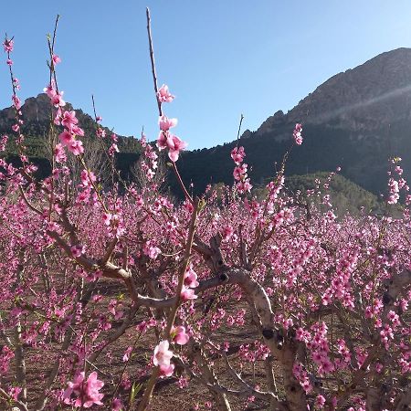 Apartamento Tranquilo Cerca De Zonas Verdes Cieza Eksteriør bilde