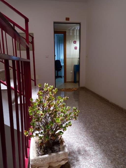 Apartamento Tranquilo Cerca De Zonas Verdes Cieza Eksteriør bilde